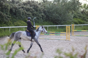 Photo de galerie - ?