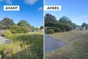 Photo de galerie - Paysagiste - Aménagement du jardin