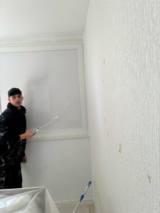 Photo de galerie - Peinture de murs