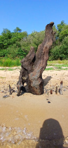 Photo de galerie - Paysagiste - Aménagement du jardin