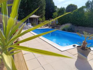 Photo de galerie - Entretien piscine.