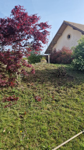 Photo de galerie - Débroussaillage 