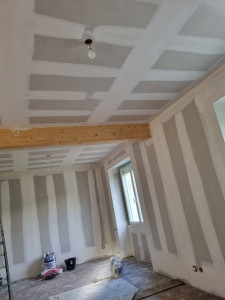 Photo de galerie - Ba13 et bandes calico