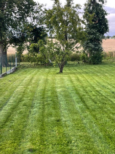 Photo de galerie - Tonte de pelouse en ramassage et et mulching