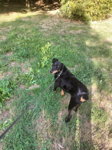 Photo de galerie - Verdi 