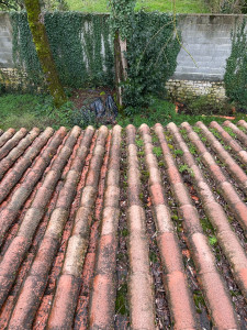 Photo de galerie - Coter gauche nettoyer (sans avoir encore pulvérisé) et coter droit non nettoyer et non pulvérisé 