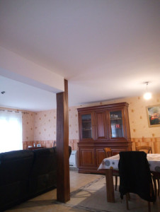 Photo de galerie - Ponçage a lampe sous couche et peinture mat global du plafond 