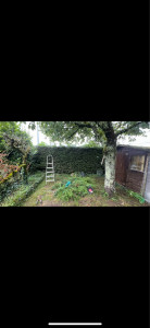 Photo de galerie - Coupe de haie