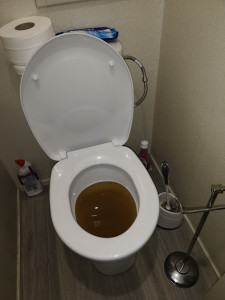 Photo de galerie - WC boucher 