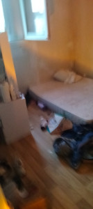 Photo de galerie - Déménagement 