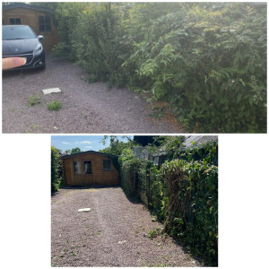 Photo de galerie - Haie 