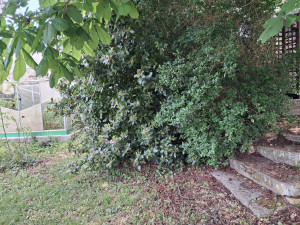 Photo de galerie - Avant 