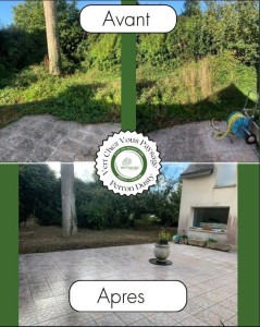 Photo de galerie - Tonte de pelouse - Débroussaillage