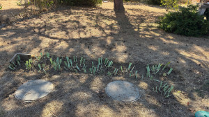 Photo de galerie - Jardinier
