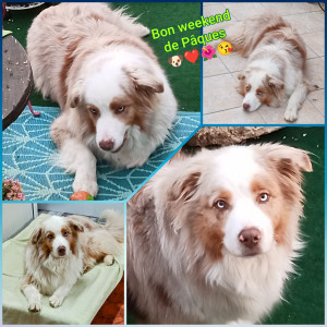 Photo de galerie - Snooky en mode vacances 