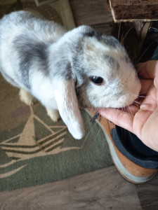 Photo de galerie - Garde Nac
