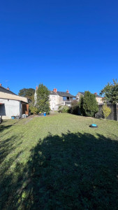 Photo de galerie - Tonte de pelouse, abattage des arbres inutiles