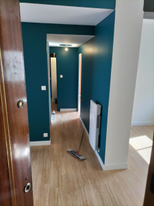 Photo de galerie - Rénovation d'un appartement (peinture,salle de bains,parquets, radiateuret pose cuisine 






