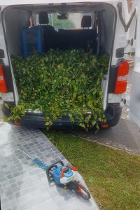 Photo de galerie - Coupes des haies  + divers 
Nettoyage et enlèvement à la déchetterie 