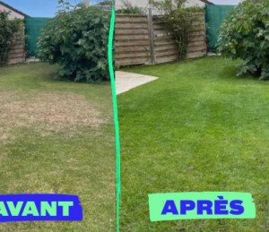 Photo de galerie - Tonte de pelouse 