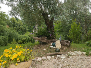 Photo de galerie - Création 