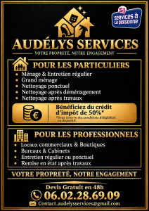 Photo de galerie - Flyer Audélys Services