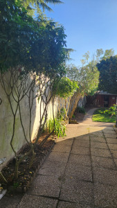 Photo de galerie - Taille d’arbustes (après)