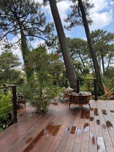 Photo de galerie - Conciergerie