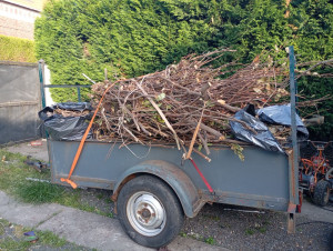 Photo de galerie - Nettoyage de terrain 
possible de débroussaillage, taille de haies, etc