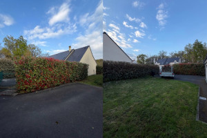 Photo de galerie - Taille de haie 