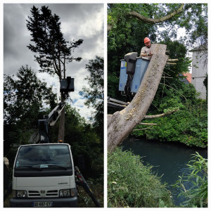Photo de galerie - Elagage et coupe d'arbres