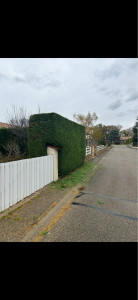 Photo de galerie - Taille de haies et d'arbustes