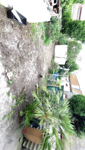 Photo de galerie - Débroussailleuse nettoyage