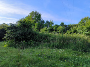 Photo de galerie - Paysagiste - Aménagement du jardin