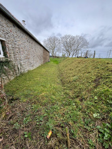Photo de galerie - Tonte de pelouse - Débroussaillage