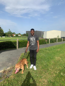 Photo de galerie - Garde chien