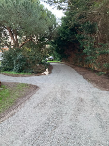 Photo de galerie - Bricolage et multi services