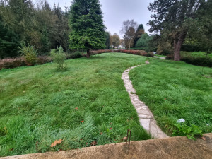 Photo de galerie - Tonte de pelouse - Débroussaillage