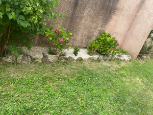 Photo de galerie - Paysagiste - Aménagement du jardin