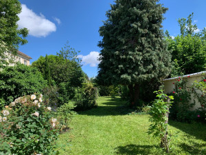 Photo de galerie - Elagage et coupe d'arbres