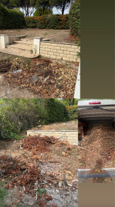 Photo de galerie - AVANT : Évacuation de déchets verts et mise au propre du terrain 
