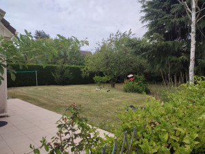 Photo de galerie - Tonte de pelouse - Débroussaillage