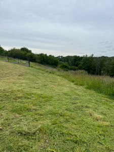 Photo de galerie - Débroussaillage 1000m2 