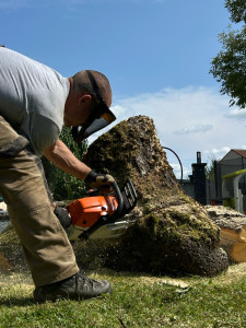 Photo de galerie - Elagage et coupe d'arbres