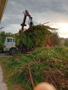 Photo de galerie - évacuation Des déchets et nettoyage fin de chantier 