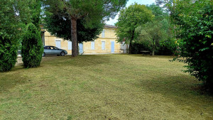 Photo de galerie - Tonte