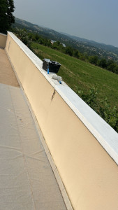 Photo de galerie - Peinture - Tapisserie