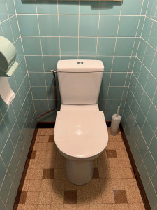 Photo de galerie - Changement de WC