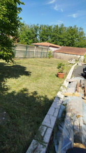 Photo de galerie - Tonte de pelouse - Débroussaillage