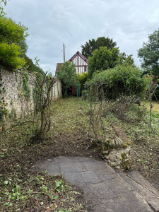 Photo de galerie - Tonte de pelouse - Débroussaillage